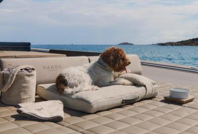 Poldo Dog Couture solca i mari insieme a Pardo Yachts